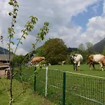 Kolbnitz 4*