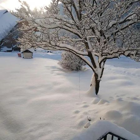 Kolbnitz Guest house *